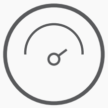 Speed Icon